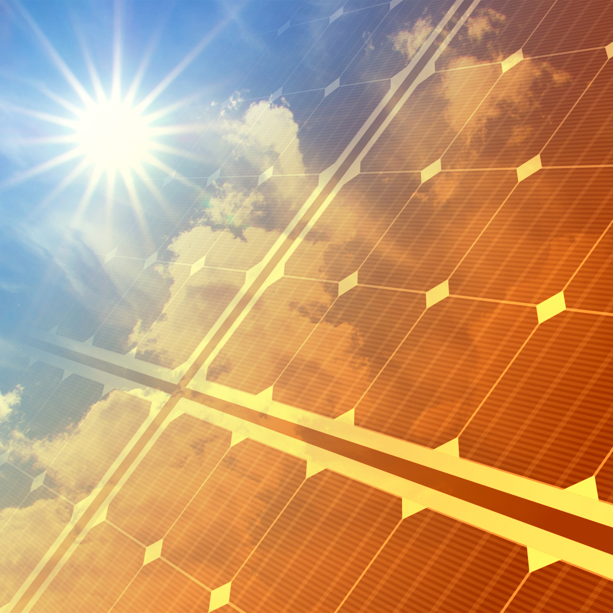 Photovoltaikanlage in Nahansicht wird von Sonne angestrahlt